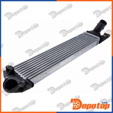 Intercooler pour DACIA | CCL-RE-017, 8200409045